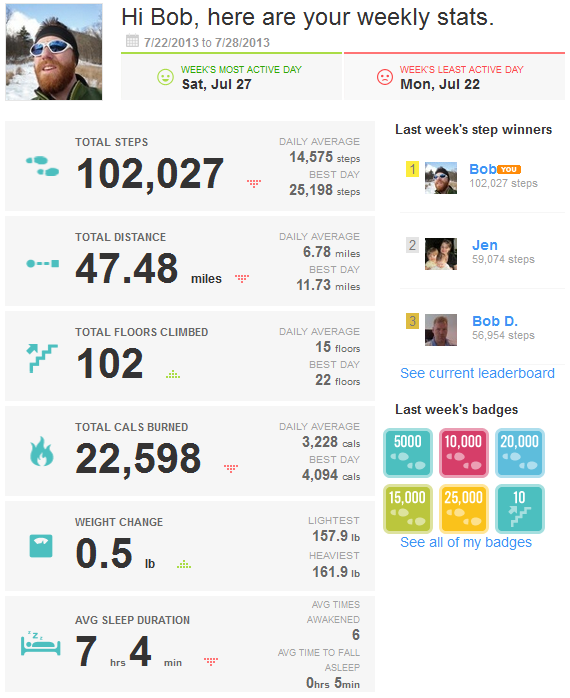 7_29_13FitbitSummary