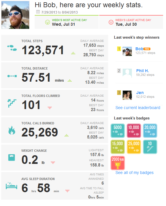 8_6_13FitbitSummary