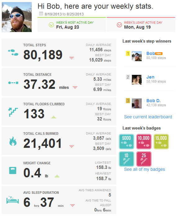 8_26_13FitbitSummary