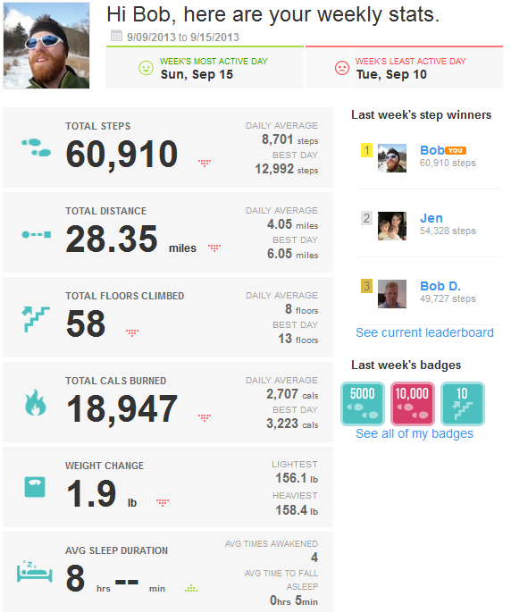 9_17_13FitbitSummary